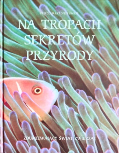na tropach.jpg