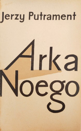 arka noego.jpg